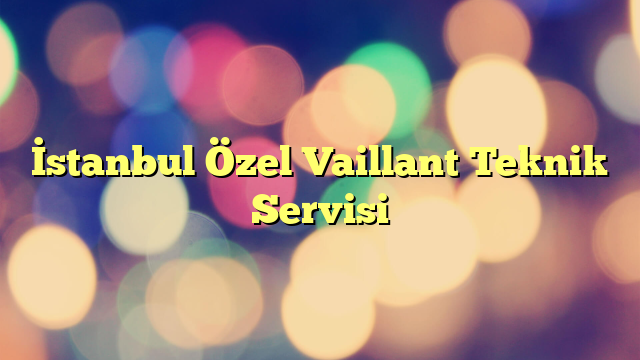 İstanbul Özel Vaillant Teknik Servisi